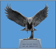 Freedom eagle
